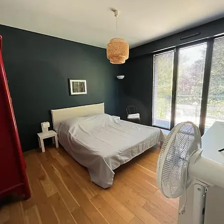 Maison Familiale Avec Piscine Pibrac